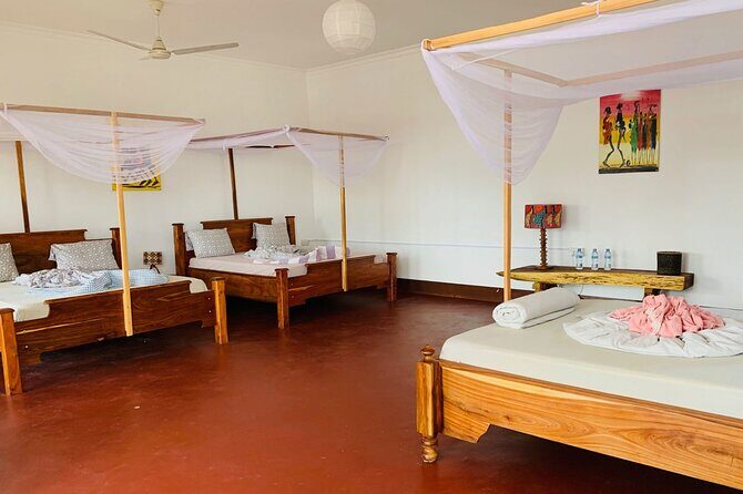 Mikumi National Park 2 Days/ 1 Night - A Practical Look at the 2-Day Mikumi Safari