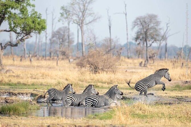 Mikumi National Park 3 Day Tour - The Sum Up: Is It Worth Your Time?