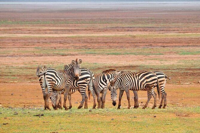 Mikumi National Park 3 Days - Final Thoughts