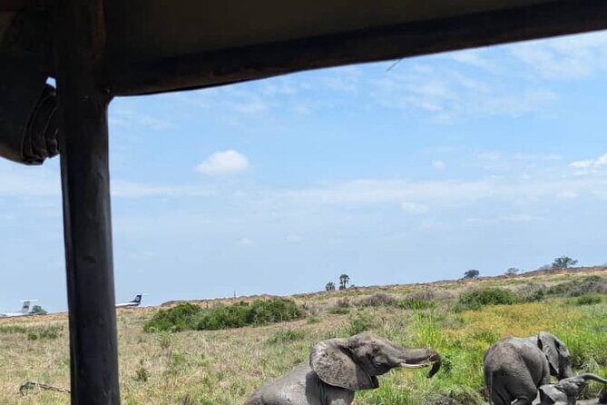Mikumi National Park Day Trip by Train From Dar Es Salaam - FAQ