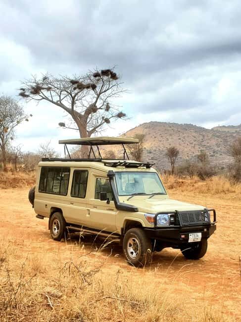 Mikumi National Park, Day Trip from Dar Es Salaam - Who Will Love This Tour?