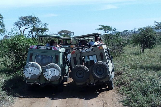 Mikumi national park full day tour - Transport & Comfort