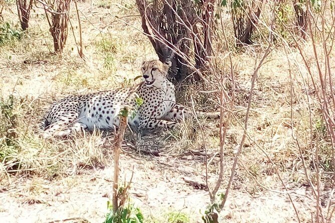 Mikumi national park full day tour from Dar es sallam - Authentic Perspectives from Travelers