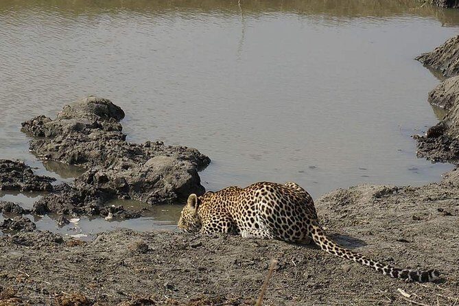 Mikumi National Park in a Day - A Day Tour from Morogoro - Mikumi National Park in a Day – A Practical Review of the Morogoro Day Tour
