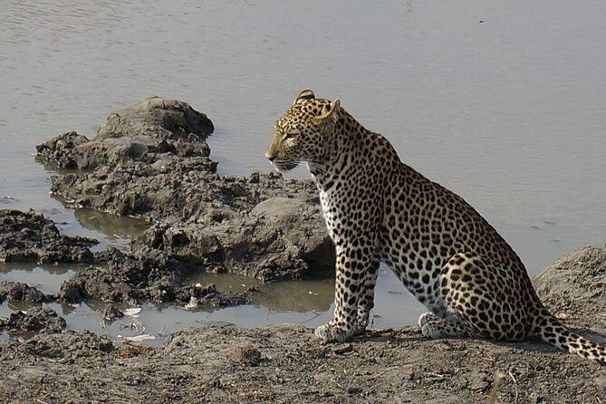 Mikumi National Park in a Day - A Day Tour from Morogoro - Who Will Enjoy This Tour?