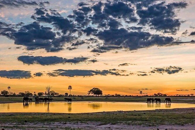 Mikumi National Park in a Day - A Day Tour from Morogoro - Frequently Asked Questions