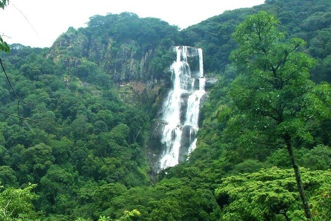 Mikumi National Park & Udzungwa Water Falls 3 Days Group Tour - A Closer Look at the 3-Day Experience