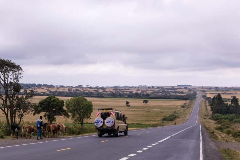 Mikumi NP safari & Maasai village & sunset: 2 days 1 night - Key Points