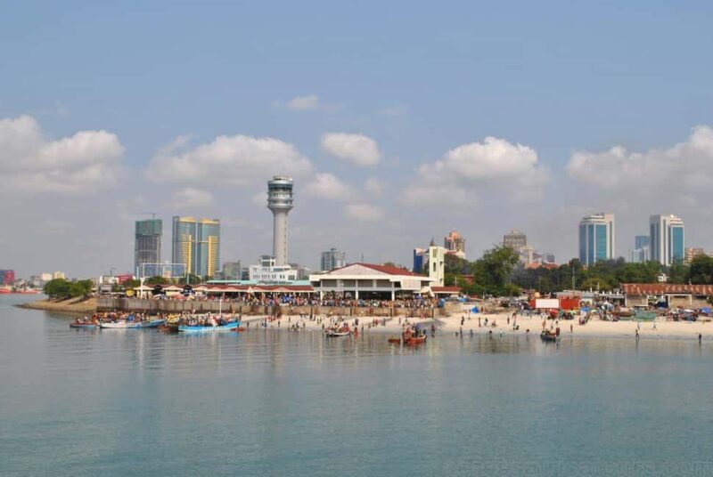 Mikumi Safari Drive - 2-Days/1 Night (Luxury) - Transportation and Logistics