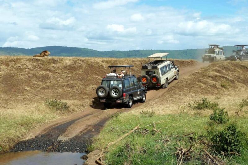 Mikumi Safari Drive - 2-Days/1 Night (Luxury) - Authentic Encounters and Practical Tips