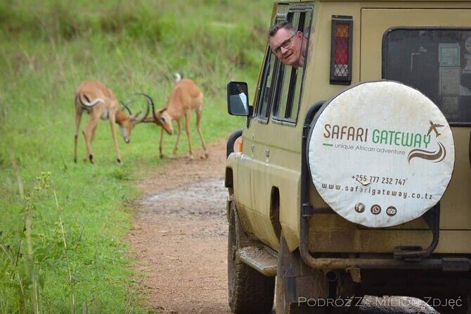 Mikumi Safari Tour: Day Trip Return Flight From Zanzibar - FAQs