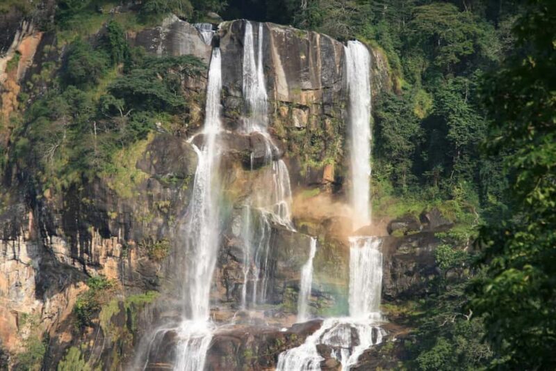 Mikumi & Udzungwa: 4-Day Safari from Zanzibar of Daressalaam - Who Should Consider This Tour?