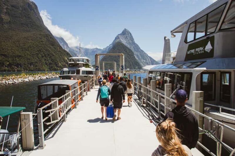 Milford Sound: 2-Hour Small Boat Scenic Cruise - Key Points
