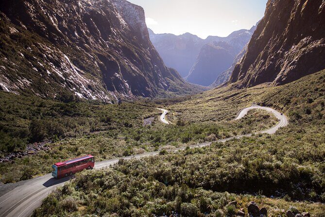 Milford Sound Coach and Extended Cruise from Te Anau - The Practical Side: What to Know Before You Go