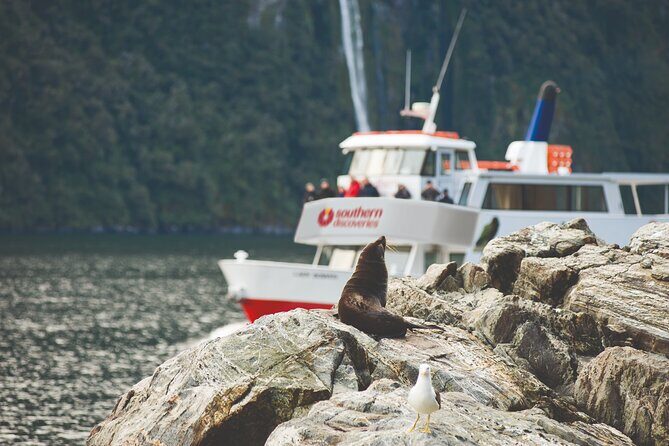 Milford Sound Coach and Extended Cruise from Te Anau - FAQ