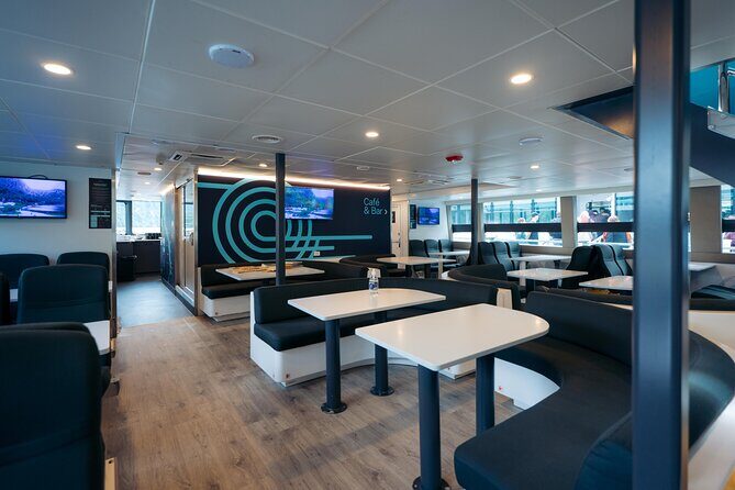 Milford Sound Cruise - Final Thoughts: Is This Tour Right for You?
