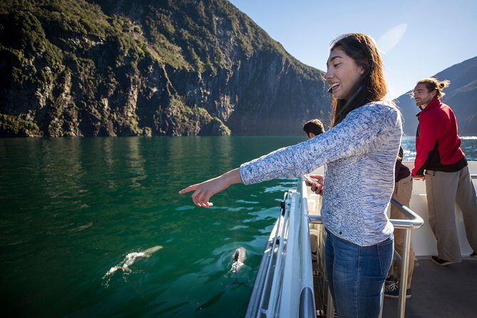 Milford Sound Cruise: Stunning Views & Optional Picnic or Buffet - Final Thoughts: Who Should Book This Tour?
