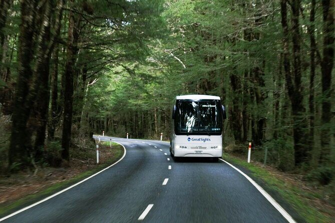 Milford Sound Day Tour from Te Anau - Milford Sound Cruise: The Heart of the Experience