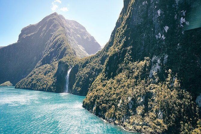 Milford Sound Luxury Lunch Cruise onboard The Fiordland Jewel - Wildlife & Storytelling: Knowledgeable Crew Makes a Difference