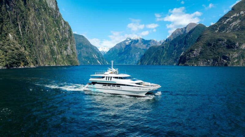Milford Sound: Nature Cruise on a Modern Catamaran - Key Points