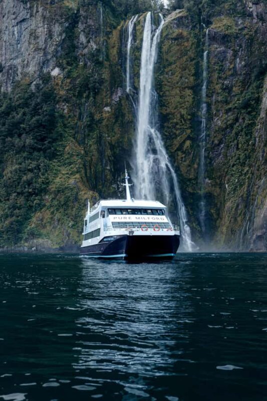 Milford Sound: Nature Cruise on a Modern Catamaran - An Authentic and Comfortable Way to Experience Milford Sound