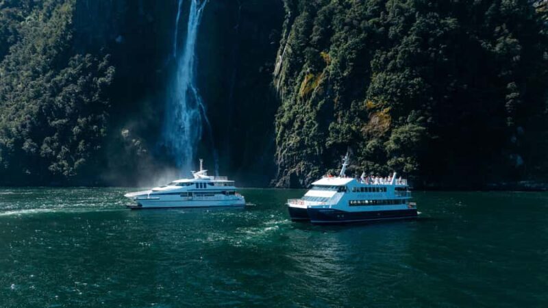 Milford Sound: Nature Cruise on a Modern Catamaran - What Makes This Cruise Stand Out