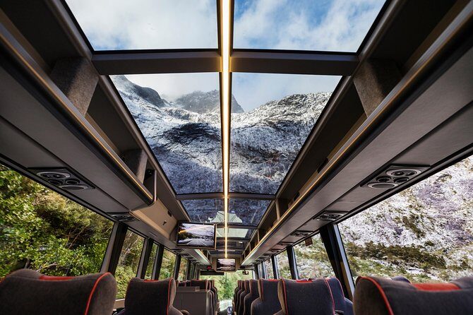 Milford Sound Premium Coach and Cruise with Lunch from Te Anau - Analyzing the Value