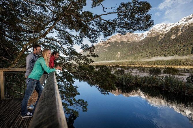 Milford Sound Premium Coach & Cruise from Queenstown with Lunch - An In-Depth Look at Milford Sound from Queenstown