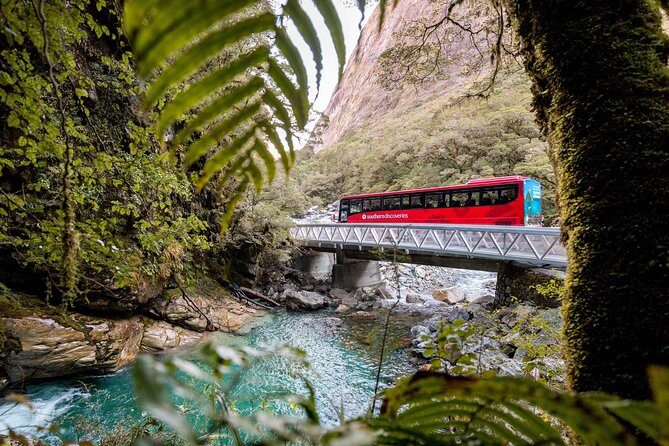 Milford Sound Premium Coach & Cruise from Queenstown with Lunch - Final Thoughts