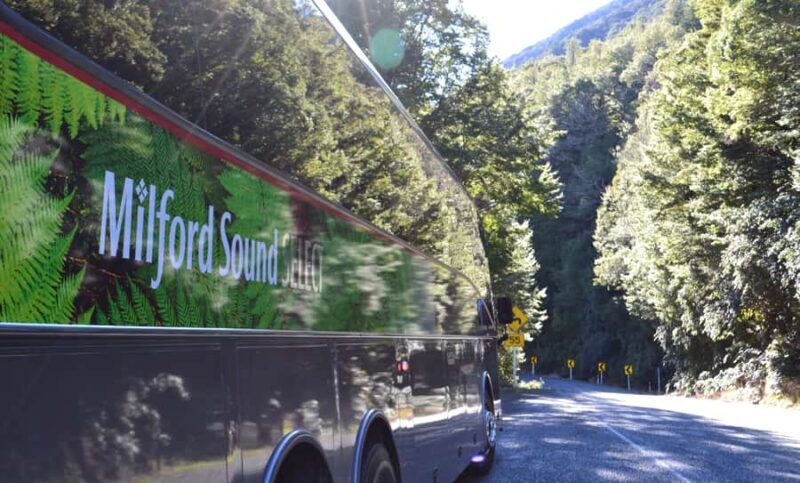 Milford Sound Premium Day Tour and Cruise from Te Anau - Key Points