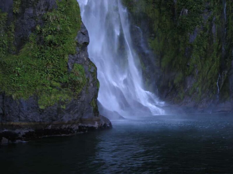 Milford Sound Premium Day Tour and Cruise from Te Anau - Getting to Know the Milford Sound Premium Day Tour