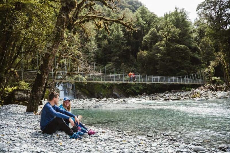 Milford Sound: Self-Guided Milford Track Day Walk - Who Will Love This Tour?