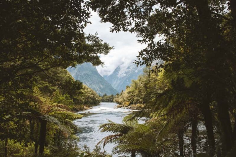 Milford Sound: Self-Guided Milford Track Day Walk - Frequently Asked Questions