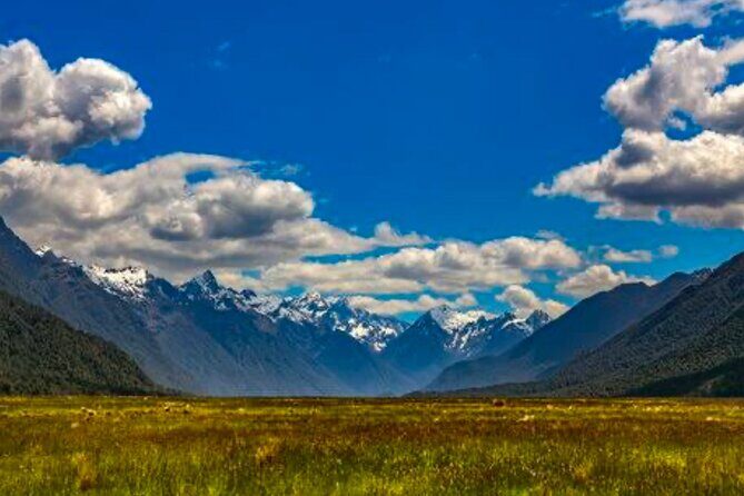 Milford Sound Small Group Day Tour From Queenstown - An In-Depth Look at the Experience