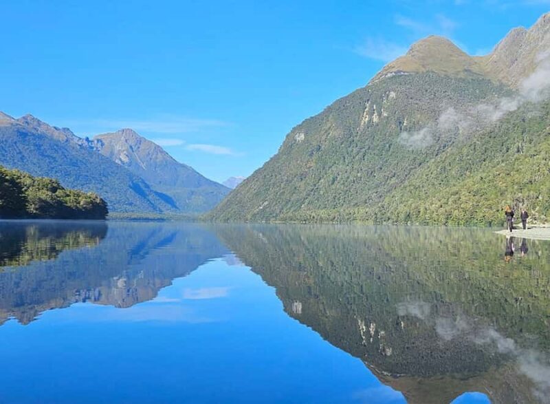 Milford Sound: Small-Group Tour from Te Anau - Wildlife and Nature on the Cruise