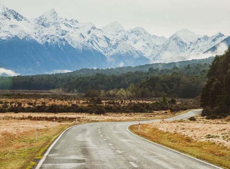 Milford Sound: Small-Group Tour from Te Anau - Food and Comfort: The Perks of a Well-Organized Day