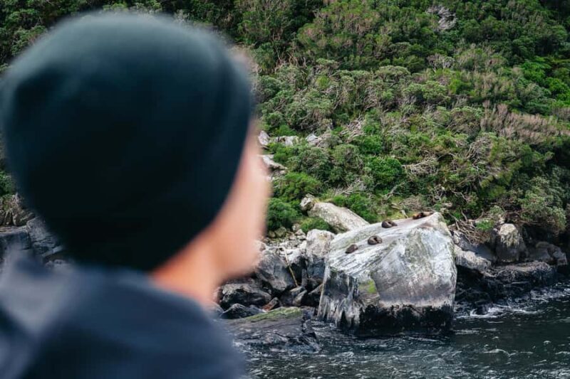 Milford Sound: Waterfalls, Wildlife, and Rainforest Cruise - FAQ