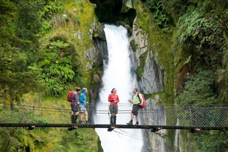 Milford Track: Full Day Guided Hike and Nature Cruise - Authentic Experiences from Fellow Travelers