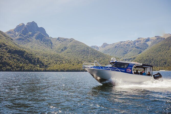 Milford Track Multi-Night Hike - Water Taxi Transport - The Reviews: Authentic Voices