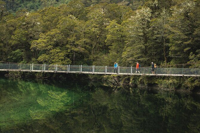 Milford Track Multi-Night Hike - Water Taxi Transport - The Sum Up: The Best Start to an Iconic Hike