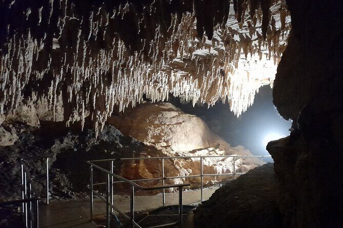 Milky Way Glowworm Cave Tour - Insights from Reviews