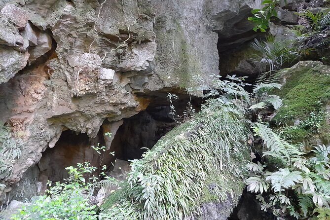 Milky Way Glowworm Cave Tour - Accessibility and Practicalities