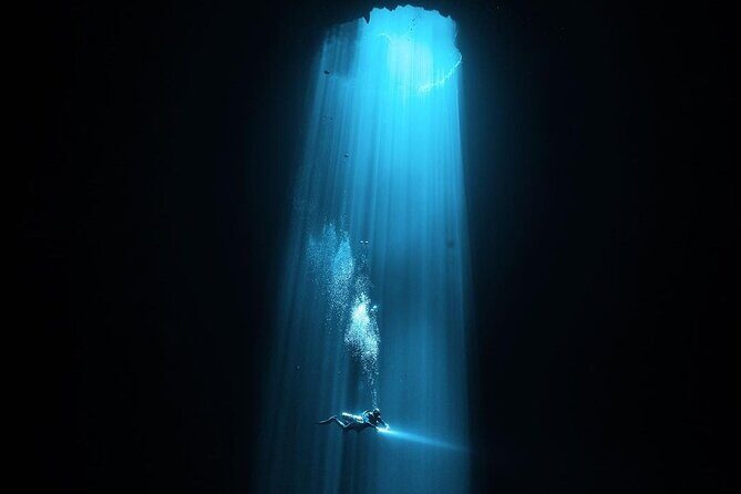 Mind Blowing Cenote Diving Experience In Playa del Carmen - A Deep Dive into the Experience