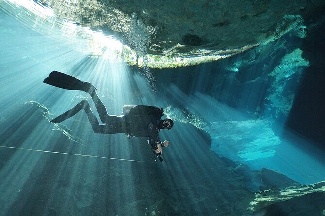 Mind Blowing Cenote Diving Experience In Playa del Carmen - The Value and Practicalities