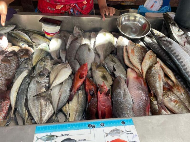Mindelo City Walking Tour - The Sum Up: Is the Mindelo City Walking Tour Worth It?