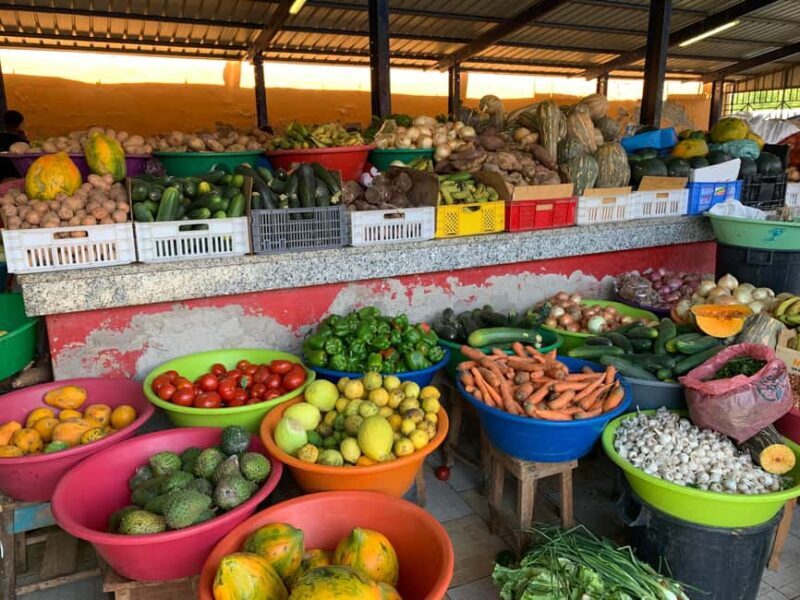 Mindelo Cultural: city tour with live music and tasting - Final Thoughts: Who Will Love This Tour?