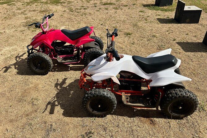Mini ATVs and Farm Animal Experience - An In-Depth Look at the Mini ATVs and Farm Animal Experience