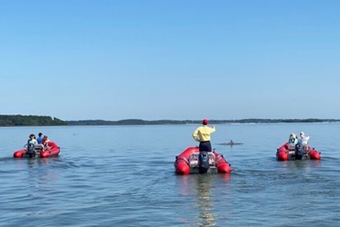 Mini Boat Tour with stop at Disappearing Island - Key Points