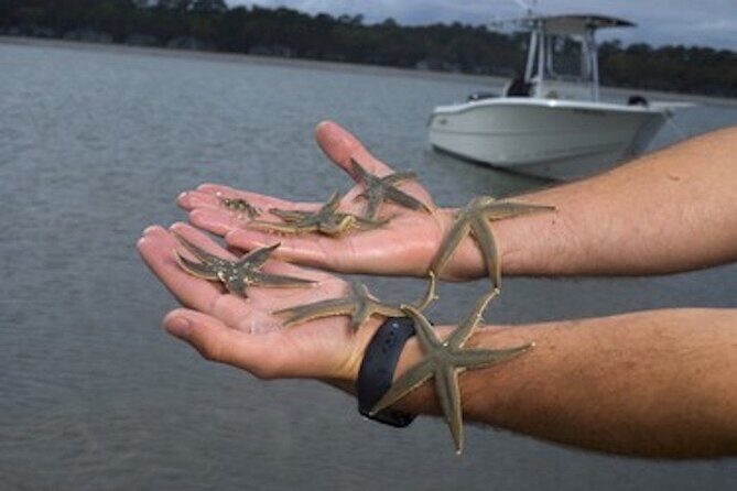 Mini Boat Tour with stop at Disappearing Island - Who Should Consider This Tour?