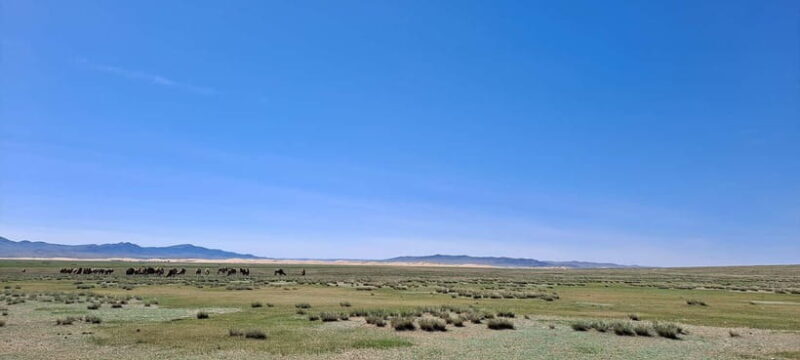 Mini Gobi, Orkhon, Tuvkhun Monastery & Kharkhorin 4-Day Tour - Discover Mongolia’s Hidden Gems on a 4-Day Tour